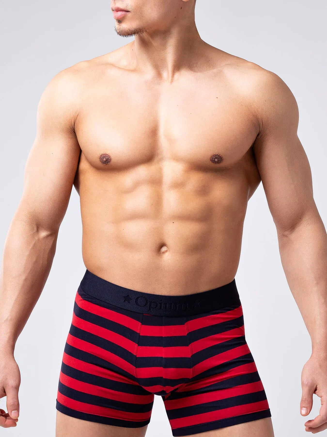 Эротическое трусы мужские удлиненные боксеры opium r126 в полоску в Москве