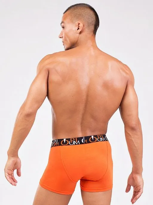 Эротическое трусы мужские боксеры opium r118, оранжевые в Москве