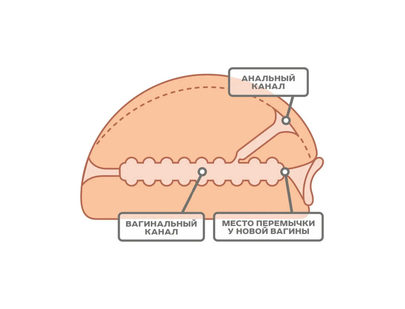 мастурбатор для мужчин 659401ru в Москве