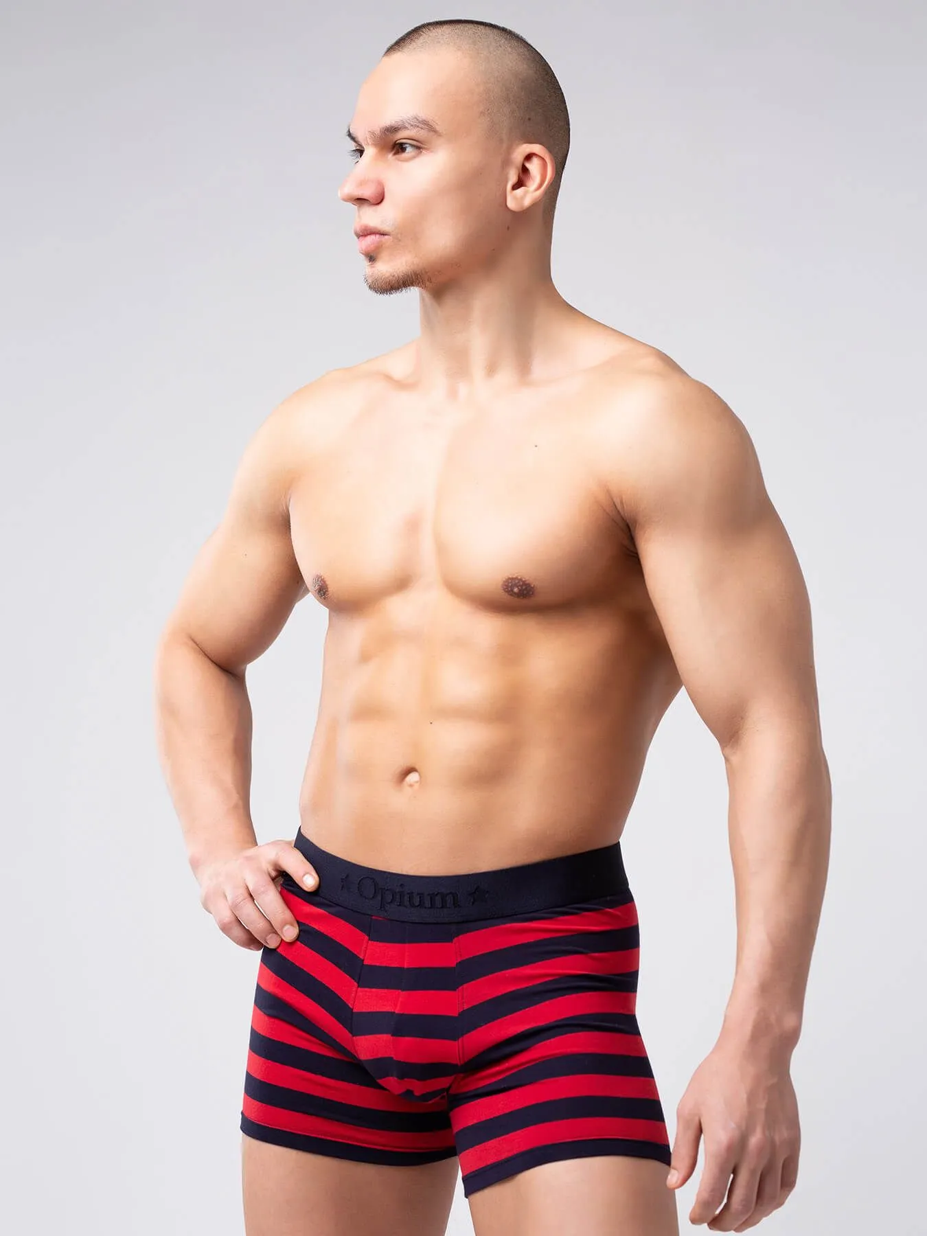 Эротическое трусы мужские удлиненные боксеры opium r126 в полоску в Москве
