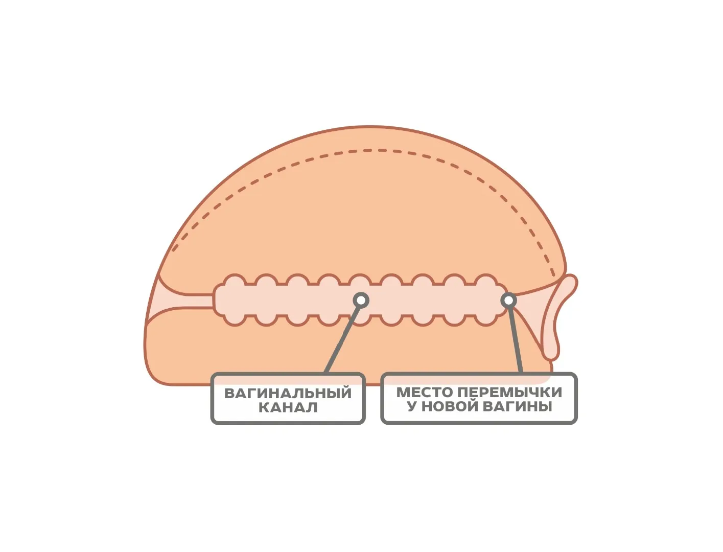 мастурбатор для мужчин 657301ru в Москве