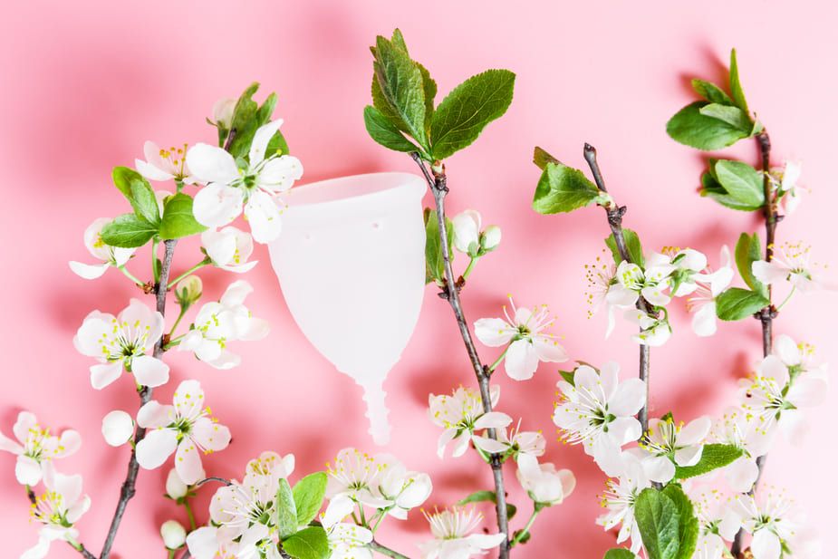 менструальная чаша менструальная чаша